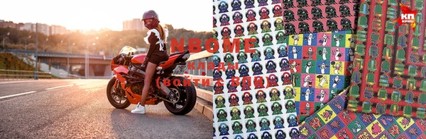 прущие грибы Семикаракорск